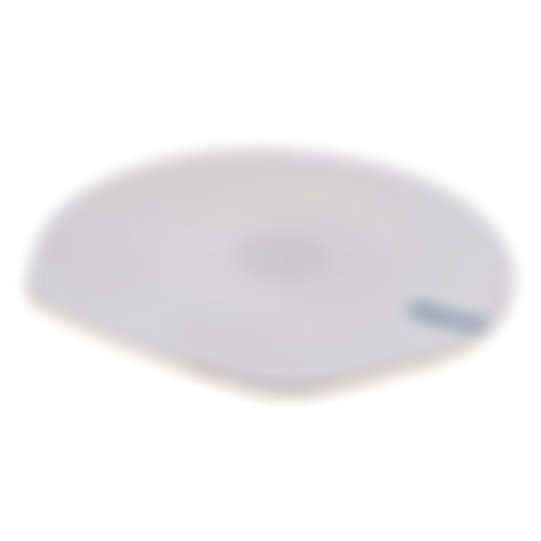 Тарелка Fresco Shell, с золотой отводкой, 20.3x20.3x3см, белый