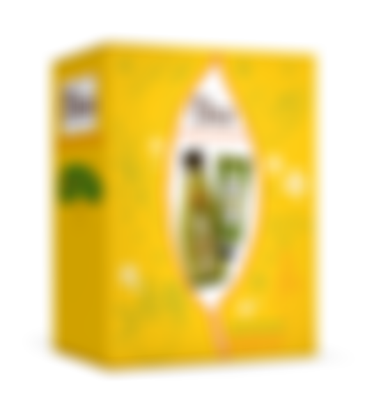 Подарочный набор для женщин OLEA CITRUS COLLECTION: Гель д/душа Заряд бодрости 300мл + OLEA Крем д/рук увлажняющий 50мл