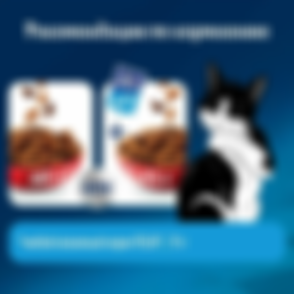 Корм для кошек сухой Felix Мясное Объедение Говядина, 600 г