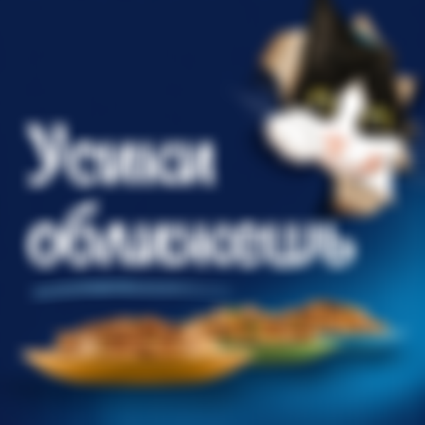 Корм для кошек влажный Felix Мясные Ломтики Курица, 75 г