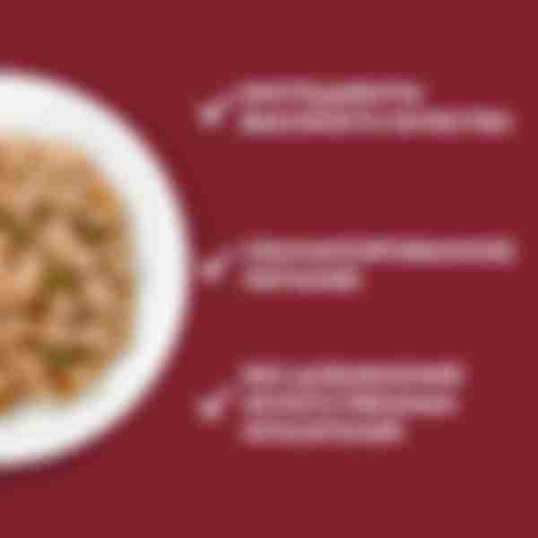 Влажный корм для собак малых пород с чувствительным пищеварением Purina One, с лососем, рисом и морковью в подливе, 85г