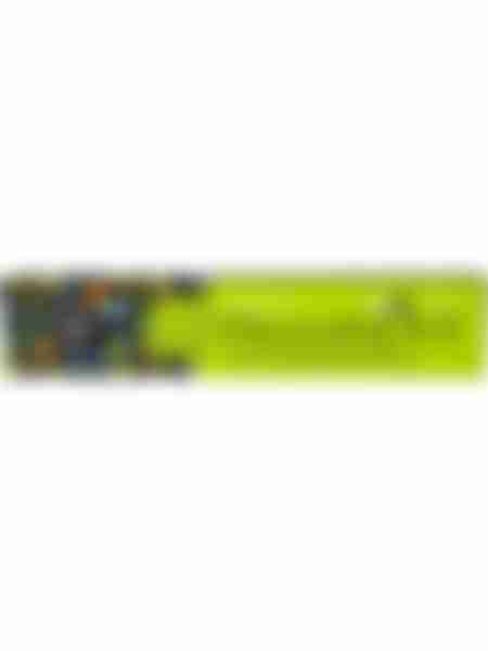Зубная паста детская President Juicy lime 12+, 70г