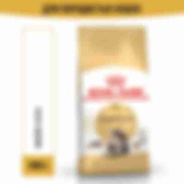 Корм сухой сбалансированный Royal Canin Adult Maine Coon, для взрослых кошек породы Мэйн Кун, 400 г