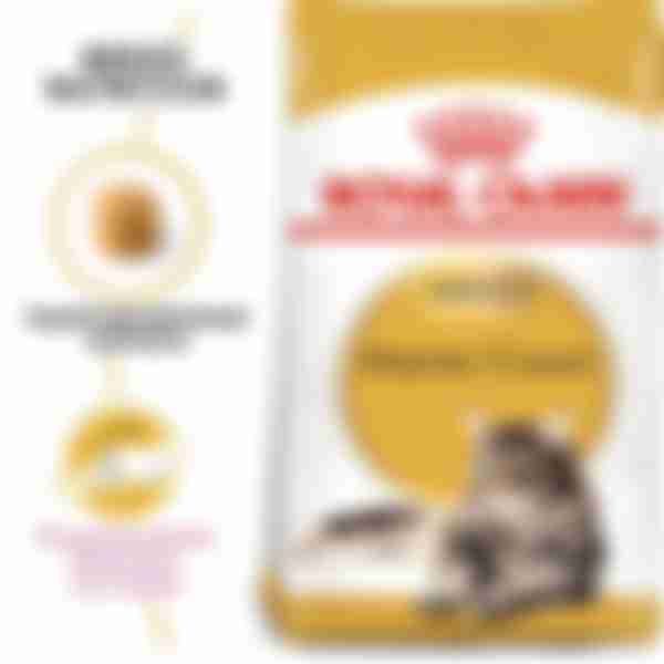 Корм сухой сбалансированный Royal Canin Adult Maine Coon, для взрослых кошек породы Мэйн Кун, 400 г