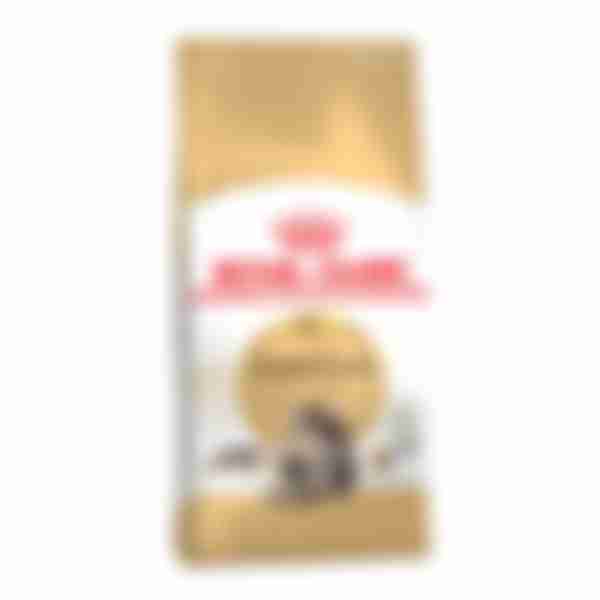 Корм сухой сбалансированный Royal Canin Adult Maine Coon, для взрослых кошек породы Мэйн Кун, 400 г