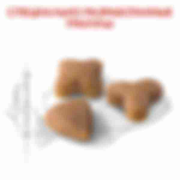 Корм сухой сбалансированный Royal Canin Sensible 33, для взрослых кошек с чувствительной пищеварительной системой, 400 г