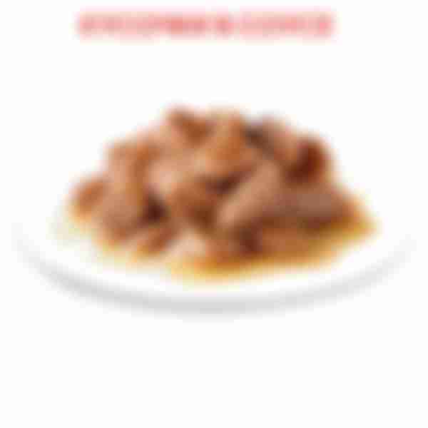 Корм влажный для взрослых кошек Royal Canin Instinctive, мелкие кусочки в соусе, 85 г