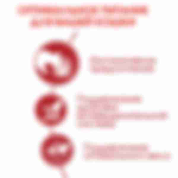 Корм влажный для взрослых кошек Royal Canin Instinctive, мелкие кусочки в соусе, 85 г