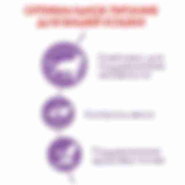 Корм сухой сбалансированный Royal Canin Sterilised 7+, для стерилизованных кошек, 1,5 кг