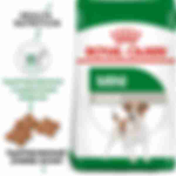 Сухой корм для взрослых собак мелких размеров Royal Canin Mini Adult от 10 месяцев, 0.8кг