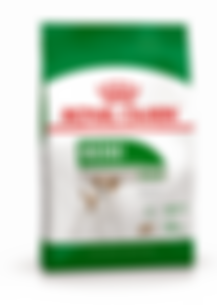 Сухой корм для взрослых собак мелких размеров Royal Canin Mini Adult от 10 месяцев, 0.8кг