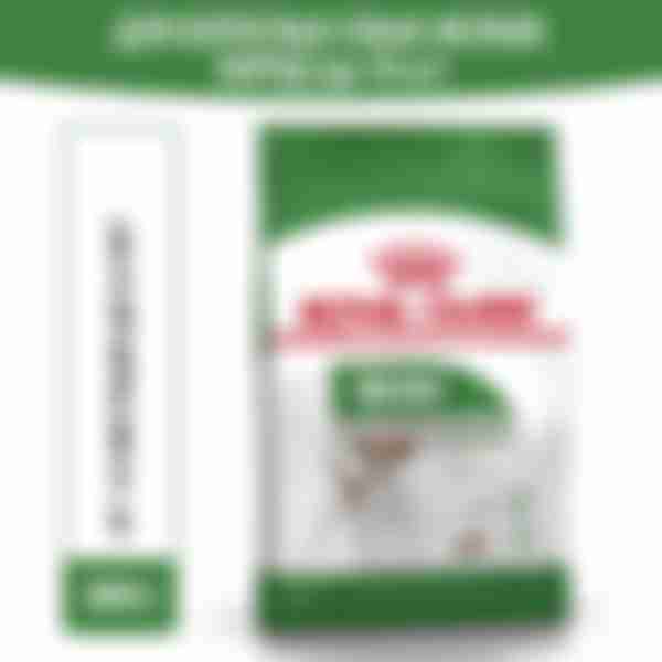 Сухой корм для взрослых собак мелких размеров Royal Canin Mini Adult от 10 месяцев, 0.8кг