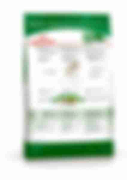 Сухой корм для взрослых собак мелких размеров Royal Canin Mini Adult от 10 месяцев, 0.8кг