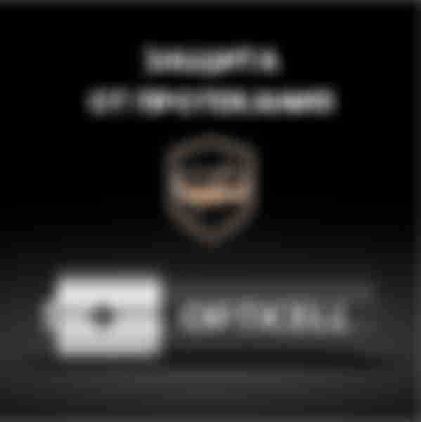 Батарейки OPTICELL Basic LR06 АА, щелочная, 4шт