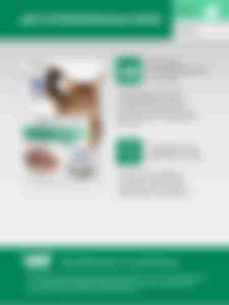 Корм влажный для стерилизованных кошек Perfect Fit Кролик в соусе, 75г