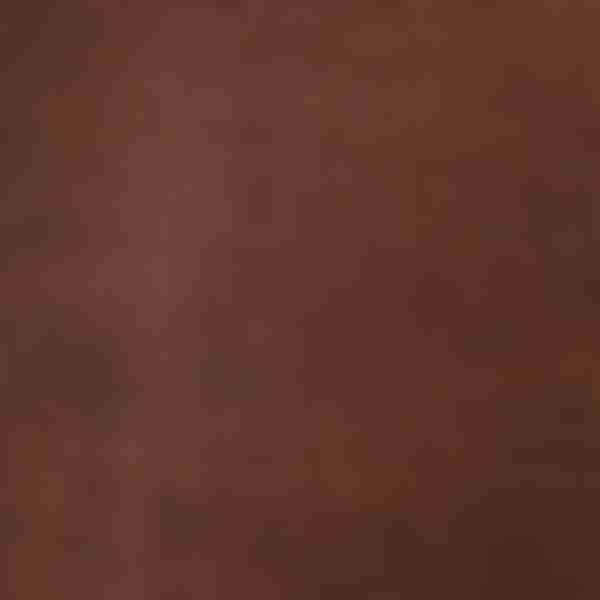 Колготки женские Pierre Cardin Marseille, 50 Den, размер: 2, цвет: caffe