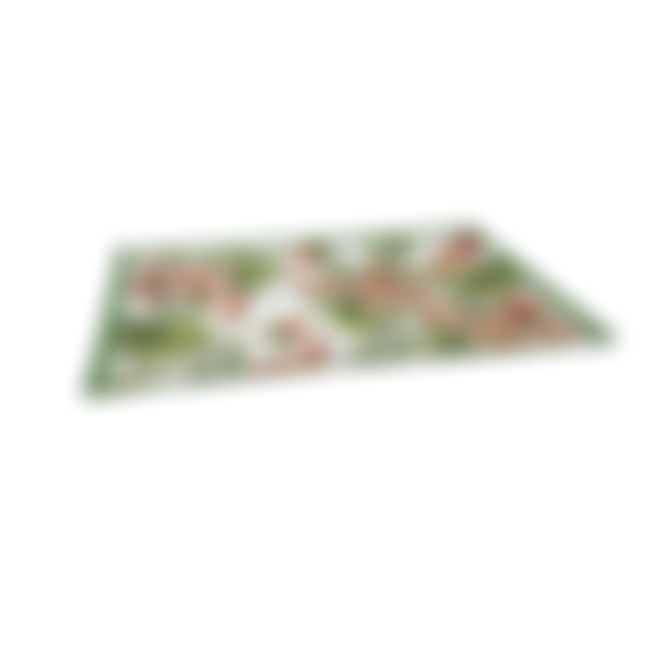 Блюдо Fresco Райский сад, 28.4х14.4х4см