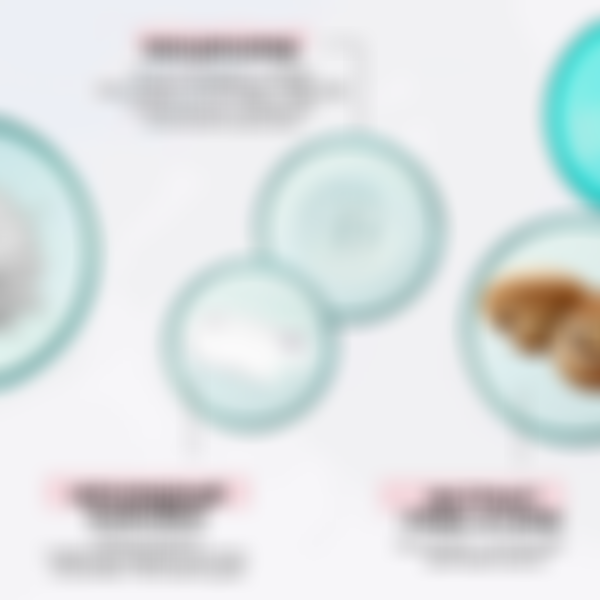 Крем для лица увлажняющий Mixit Your Skin, для нормальной и жирной кожи, 50 мл