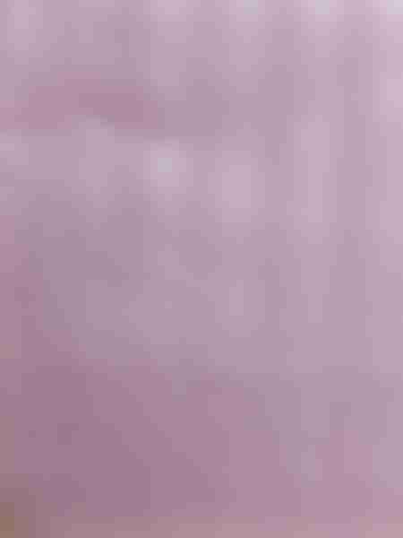 Набор наволочек Holiday, полисатин, размер: 50х70 см, цвет: Dawn Pink, 2 шт