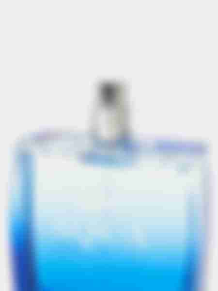 Туалетная вода мужская Dilis Aqua Blue, 100мл