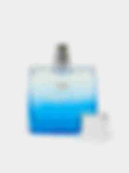 Туалетная вода мужская Dilis Aqua Blue, 100мл