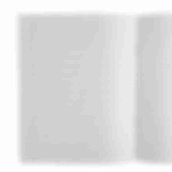 Тетрадь школьная Стандарт, косая линия, формат: А5, 12 листов, цвет: зеленый
