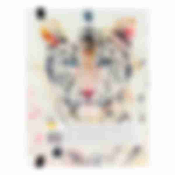 Скетчбук Miland Soft Touch Tiger, на резинке, формат: А5, 64 л