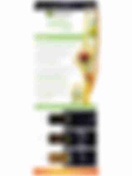 Крем-краска для волос Garnier Color Naturals, стойкая, питательная, тон: 2.10 Иссиня черный