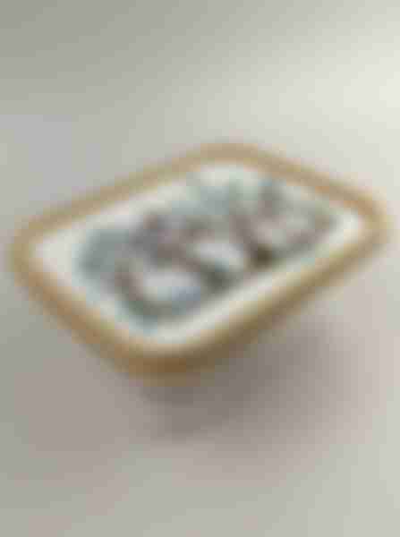 Контейнер для продуктов Asti, прямоугольный, с декором, 0.85л