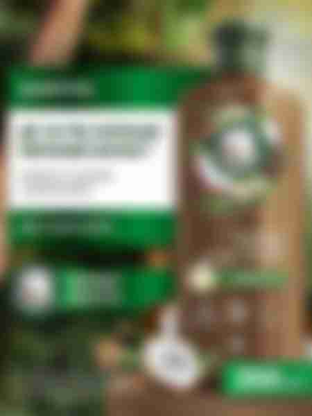 Шампунь Herbal Essences Глубокое питание, аромат кокоса, для сухих волос, 350мл