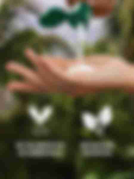 Шампунь Herbal Essences Глубокое питание, аромат кокоса, для сухих волос, 350мл