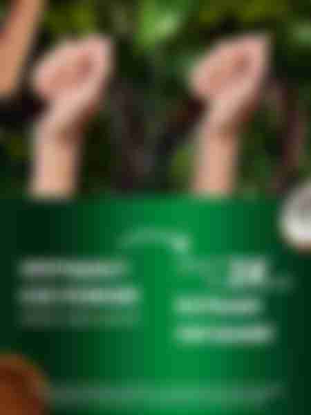 Шампунь Herbal Essences Глубокое питание, аромат кокоса, для сухих волос, 350мл