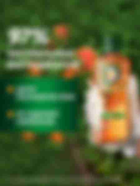 Шампунь Herbal Essences Объем, аромат апельсина, 350мл