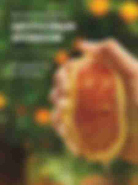 Шампунь Herbal Essences Объем, аромат апельсина, 350мл
