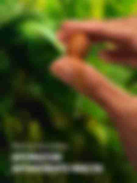 Маска для волос Herbal Essences Глубокое восстановление, аргановое масло, 300мл