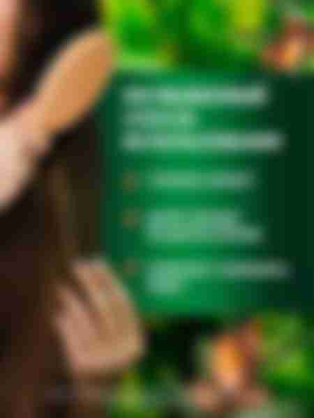 Набор подарочный женский Herbal Essences Глубокое восстановление: шампунь 250 мл, бальзам-ополаскиватель 180 мл