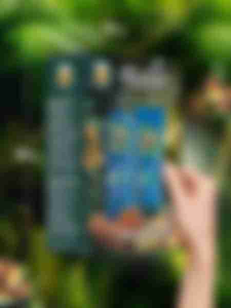 Набор подарочный женский Herbal Essences Глубокое восстановление: шампунь 250 мл, бальзам-ополаскиватель 180 мл