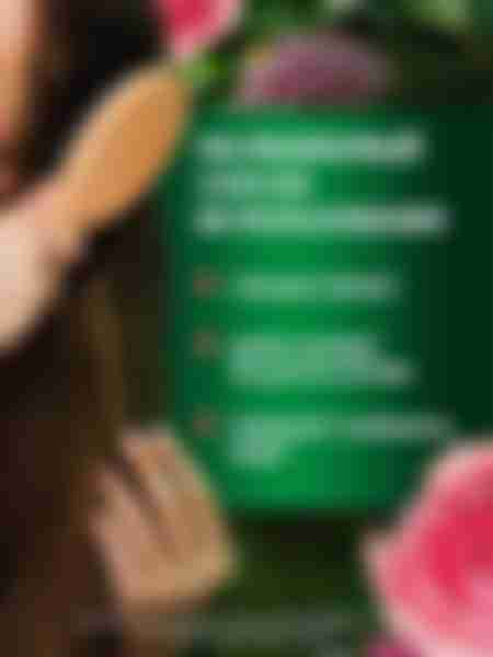 Набор подарочный женский Herbal Essences Гладкие и шелковистые: шампунь 250 мл, бальзам-ополаскиватель 180 мл
