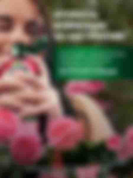 Набор подарочный женский Herbal Essences Гладкие и шелковистые: шампунь 250 мл, бальзам-ополаскиватель 180 мл