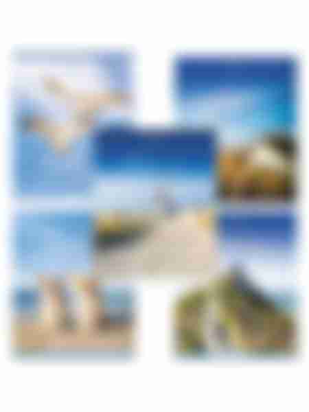 Тетрадь в клетку Brauberg By The Sea, 80л, в ассортименте, 1шт