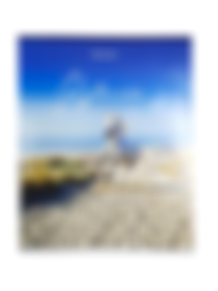 Тетрадь в клетку Brauberg By The Sea, 80л, в ассортименте, 1шт