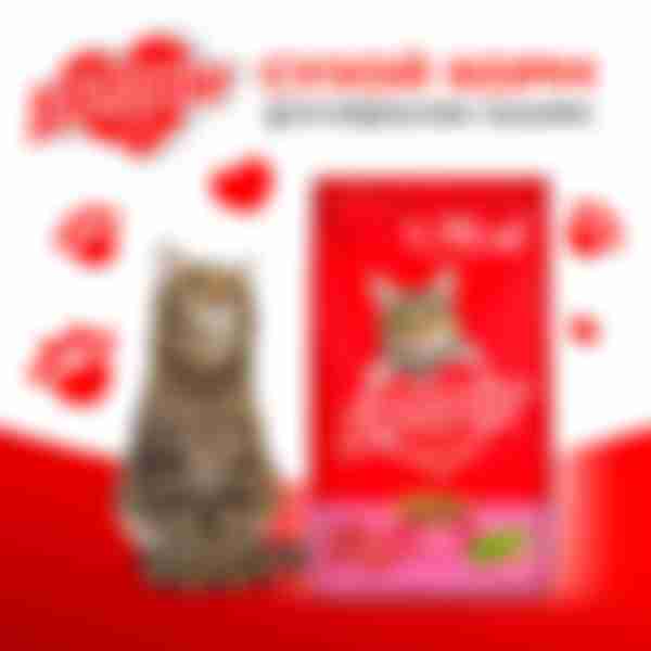 NP DARLING сухой корм для кошек Мясо, Овощи 1,75кг