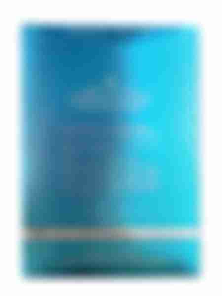 Туалетная вода мужская Christine Lavoisier Gross Fresh Wave, 100мл