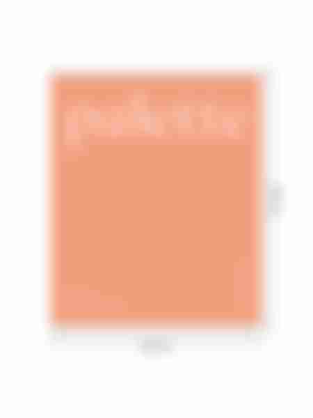 Тетрадь Berlingo Monocolor Palette, клетка, 48л, 1шт, в ассортименте