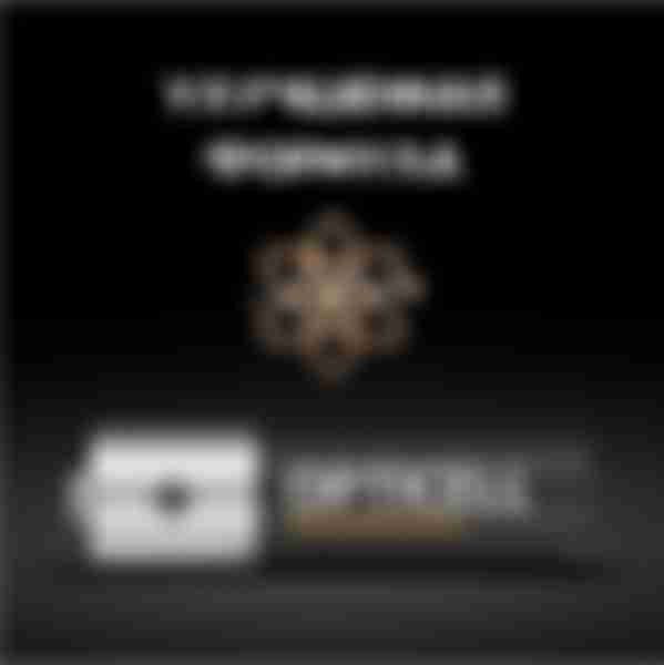 Батарейка OPTICELL Professional LR06 АА бл.2