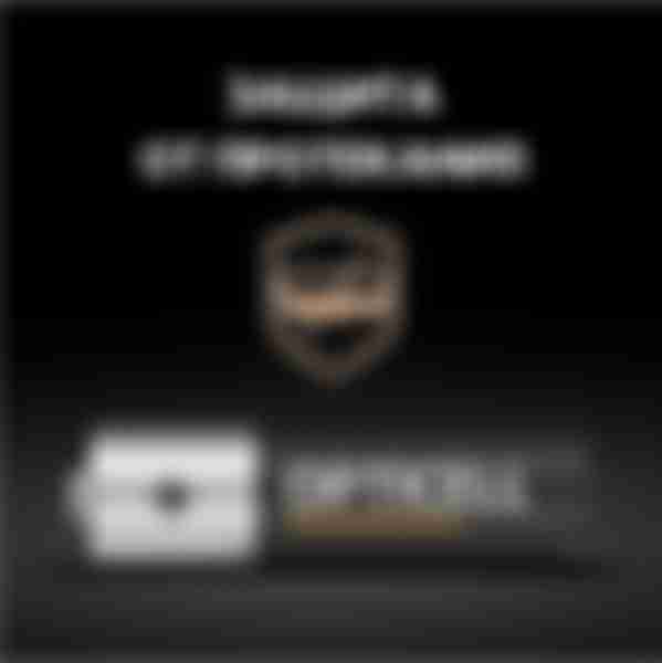 Батарейка OPTICELL Professional LR06 АА бл.2