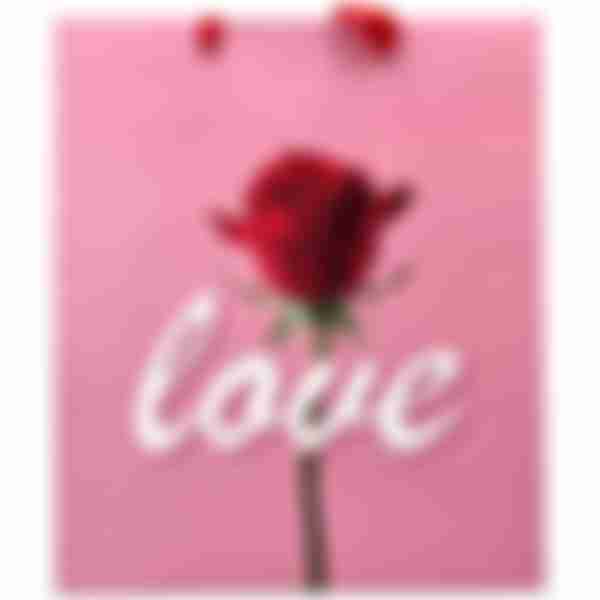 Пакет подарочный Love 26*32см