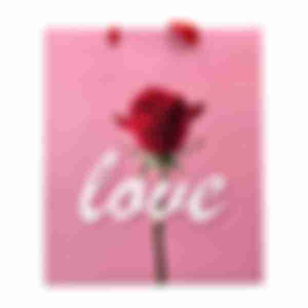 Пакет подарочный Love 26*32см