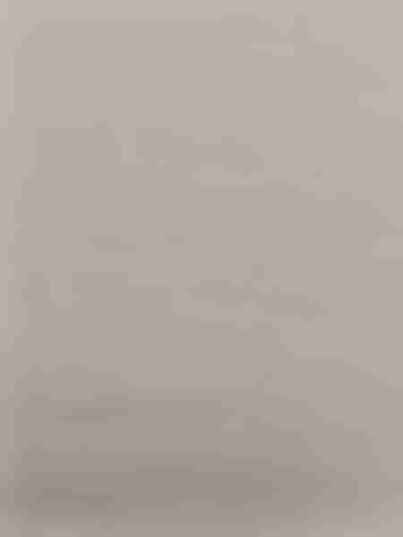 Комплект постельного белья Livadia Stonewash Пион, 1,5-спальное, полисатин, наволочка: 50х70см