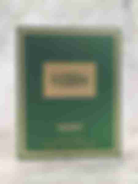 Вода парфюмерная V.Veneza Exciting Vert, unisex, 100 мл